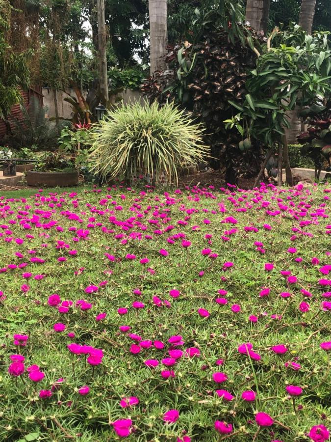 Mama Thea Homes Moshi Luaran gambar